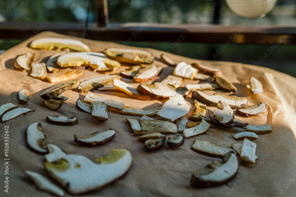 Drying mushrooms. Thinly sliced mushrooms spread on parchment paper and an oven tray dry in the sun on the balcony. Autumn vibes