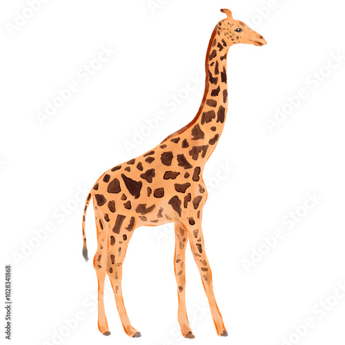 Giraffe, tall mammal, isolated on white background, long neck, brown spots, standing profile, digital watercolor painting