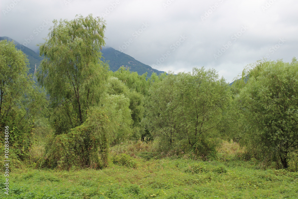cloudy day field and mountain dark atmosphere