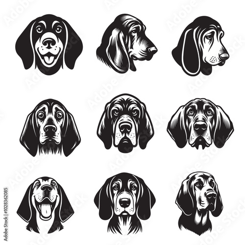 Collection of Bloodhound Dog Face vector illustration - Bloodhound Dog Logo Design 

