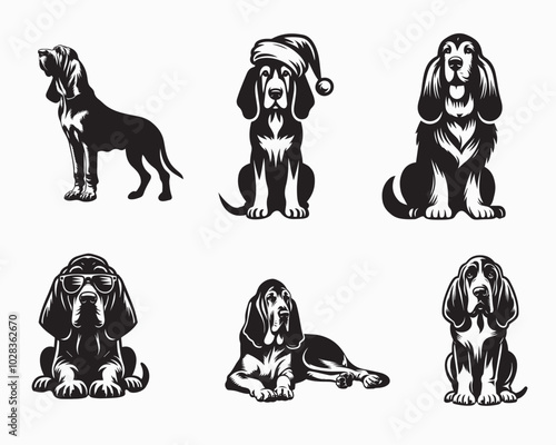 Set of Bloodhound Dog Face vector illustration - Bloodhound Dog clipart Design in black and white
