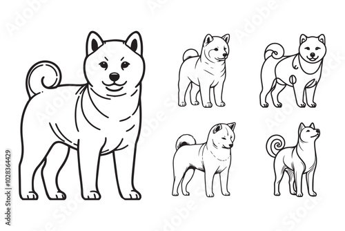 Illustration of a Shiba in a classic standing stance