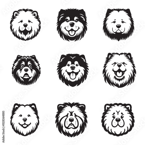 Collection of Chow Chow Dog Face vector illustration - Chow Chow Dog Logo Design 