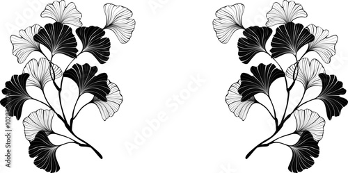 Black ginko twigs frame
