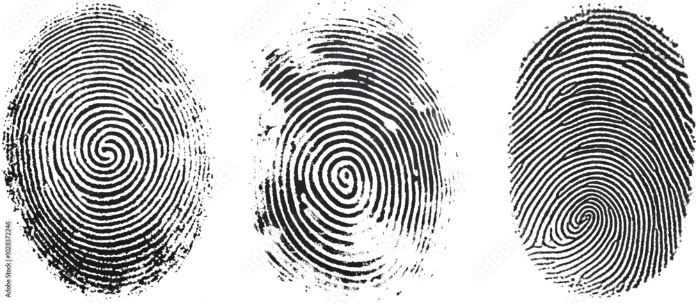 Vector black fingerprint on white Transparent background.