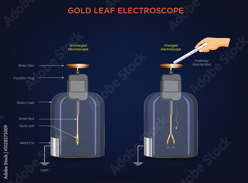 Gold Leaf Electroscope Detecting and Indicating Electric Charge photo