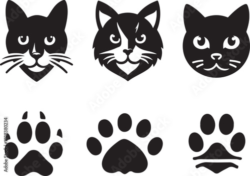 Cat had Bandile and footprint  