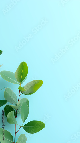 Fresh and natural green leaves