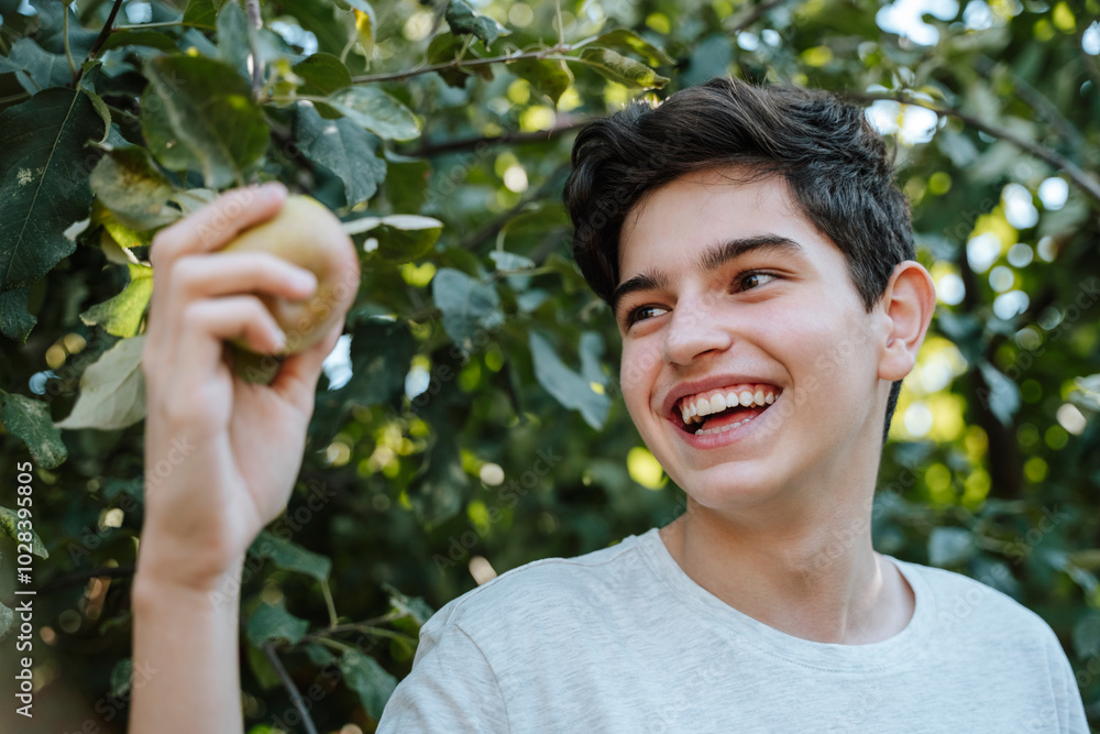 Cheerful boy holding apple on branch in back yard Cheerful boy holding apple on branch in back yard