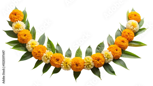 Cut out Indian flower garland of mango leaves and marigold flowers. Ugadi diwali ganesh festival poojas weddings functions holiday ornate decoration. Isolated on white transparent background.