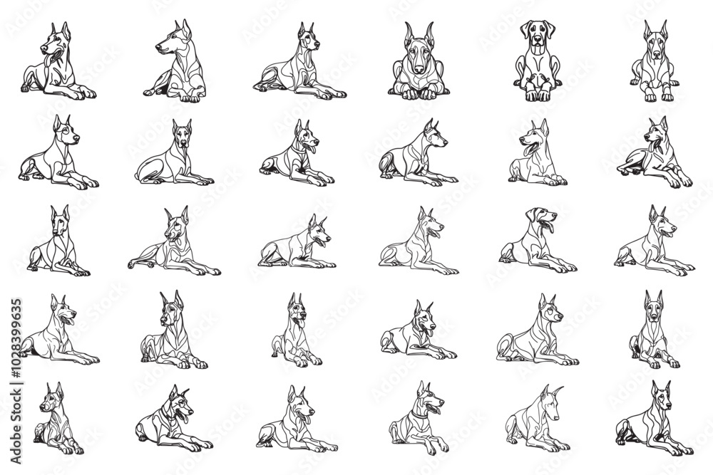 Fototapeta premium Bundle Line Art Fierce Doberman Calm Dog And Crawl Pose Art calm Doberman Illustration Hand Drawn Clipart