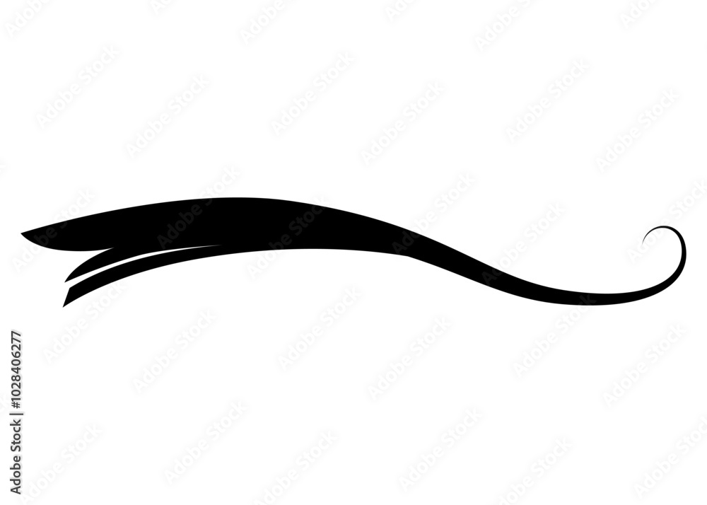 Swoosh typography text tail shape. Calligraphic decoration swish symbol. Retro underline, black stroke or ornament design vector illustration Swoosh typography text tail shape. Calligraphic decoration swish symbol. Retro underline, black stroke or ornament design vector illustration