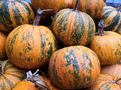 Pumpkins and greenery lie on the road for Halloween