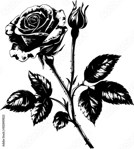 Rose Black and White monochrome Vector illustration