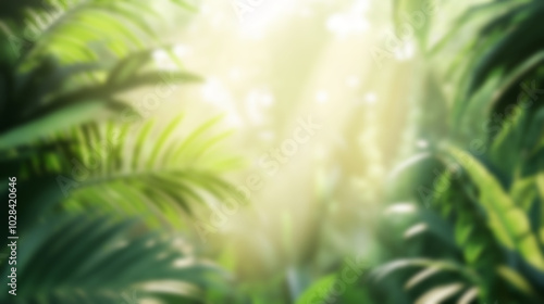 A vibrant display of tropical foliage illuminated by sunlight during a video call backdrop