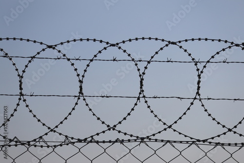 Canvastavla steel razor wire on blue sky