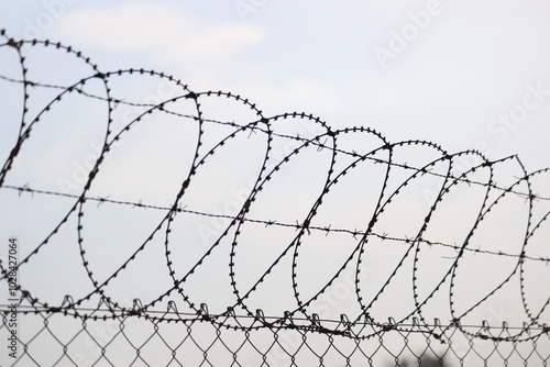 Canvastavla steel razor wire on blue sky