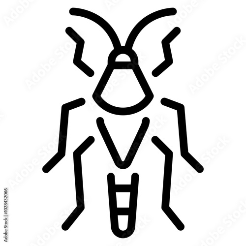 Insect Line Art Illustration