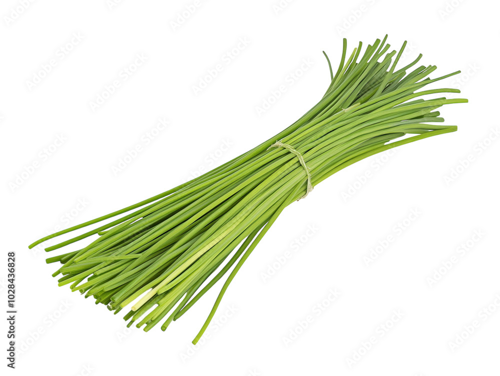 Fresh chives with long, thin green stems, displayed on a white background. PNG transparent. Fresh chives with long, thin green stems, displayed on a white background. PNG transparent.