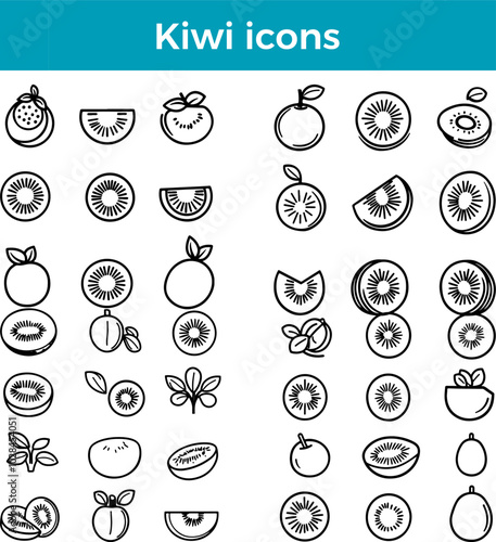 Kiwi icon tropical fruit vector fresh produce healthy food organic farm ripe green juicy symbol