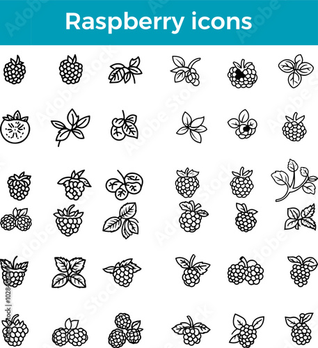 Raspberry icon fruit vector fresh produce healthy food organic farm juicy sweet berry harvest symbol