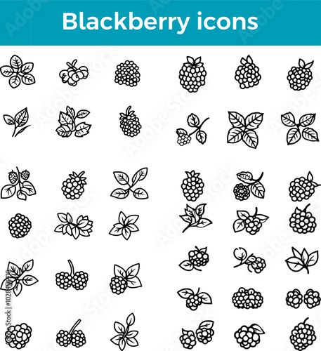 Blackberry icon fruit vector fresh produce healthy food organic farm juicy sweet berry harvest symbol