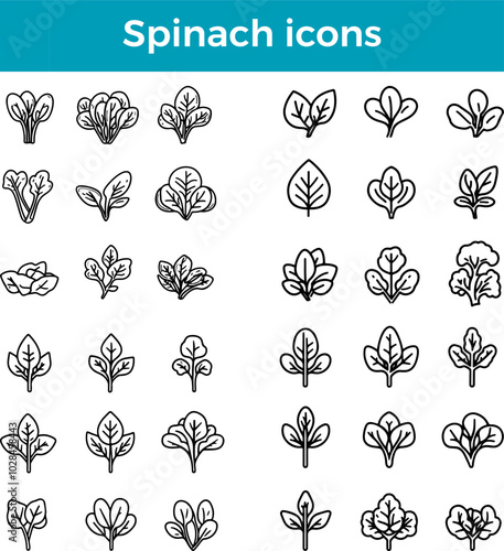 Spinach icon leafy green vegetable vector fresh produce organic farm healthy food garden crop symbol