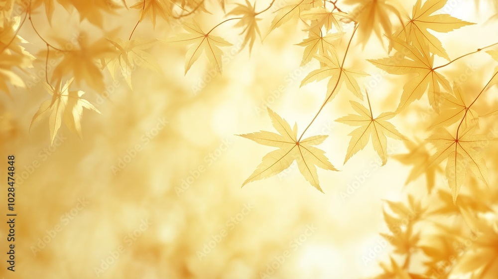 background featuring a pattern of fall leave, light orange and yellow colors background featuring a pattern of fall leave, light orange and yellow colors