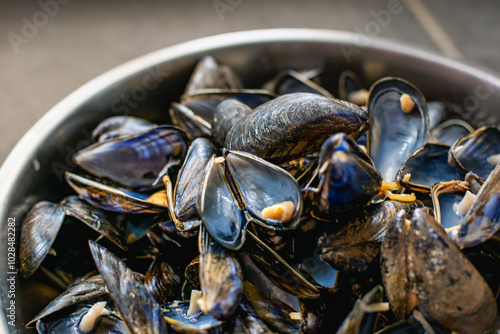 Bouchot mussels from Brittany, empty shells, shellfish rich in omega 3, healthy meal photo