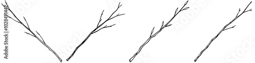 line art vector illustration collection of twig . isolate on a white background. SVG and PNG
