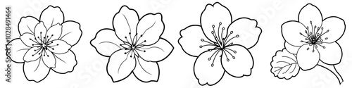line art vector illustration collection of cherry blossom . isolate on a white background. SVG and PNG
