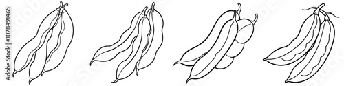 line art vector illustration collection of green beans . isolate on a white background. SVG and PNG
