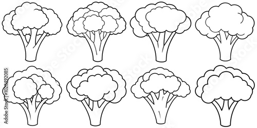 line art vector illustration collection of broccoli . isolate on a white background. SVG and PNG
