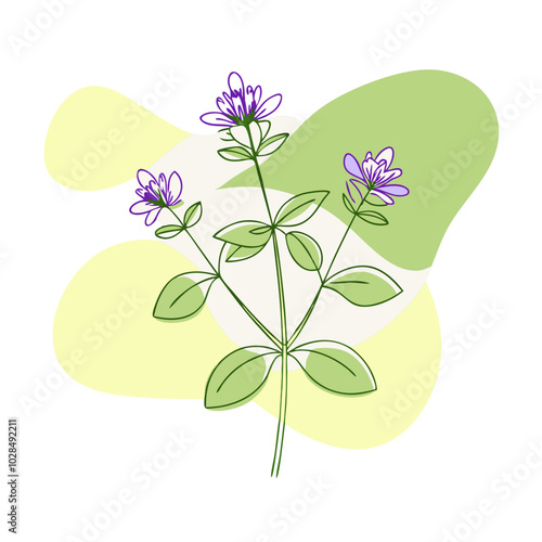 marjoram herb, unique blob style, transparent background photo