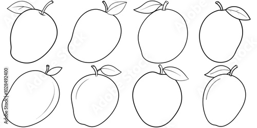 line art vector illustration collection of mango . isolate on a white background. SVG and PNG
