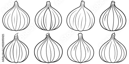 line art vector illustration collection of garlic . isolate on a white background. SVG and PNG
