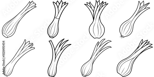 line art vector illustration collection of leek . isolate on a white background. SVG and PNG
