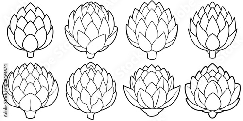 line art vector illustration collection of artichoke . isolate on a white background. SVG and PNG

