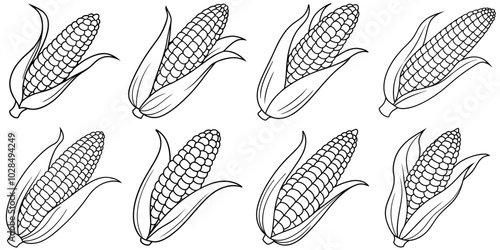 line art vector illustration collection of corn . isolate on a white background. SVG and PNG
