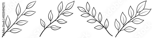 line art vector illustration collection of branch with leaves . isolate on a white background. SVG and PNG
