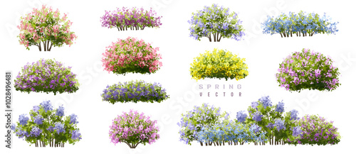 collection of flowers, Vertor set of spring blossom tree,blooming plants side view for landscape elevation and section,eco environment concept design,watercolor shrub illustration,colorful season photo