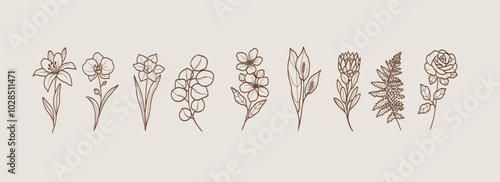 Line art botanical logotypes. Lily, orchid, daffodil, eucalyptus, apple blossom, spathiphyllum, protea, fern, rose illustration