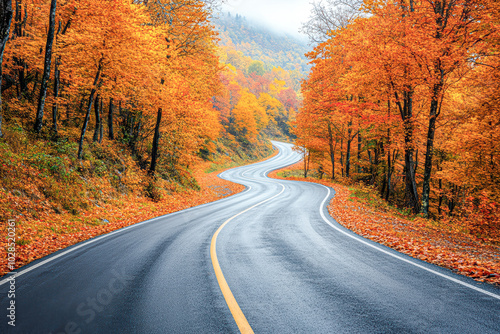 Serene Autumn Drive Through Colorful Mountain Fores