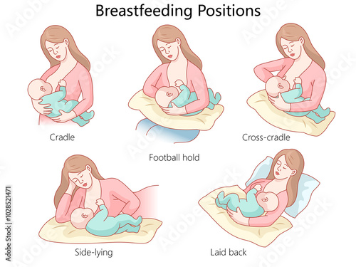 Obraz na plátně breastfeeding positions, including cradle, football hold, cross-cradle, side-lying, and laid back, for nursing mothers diagram hand drawn raster illustration