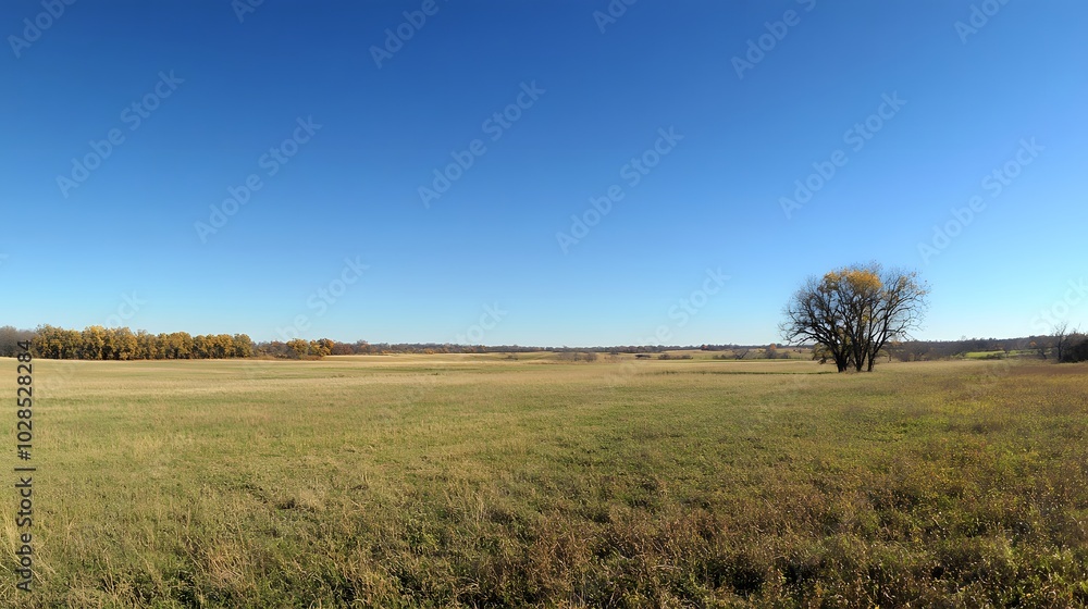 1. A vast, open field under a clear blue sky, with a single tree in the distance 1. A vast, open field under a clear blue sky, with a single tree in the distance