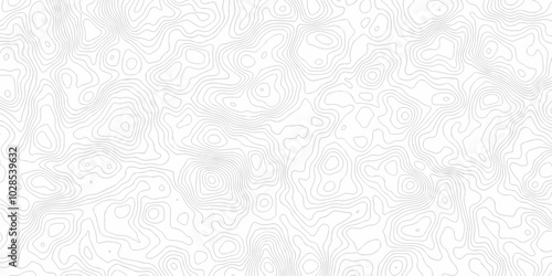 White wave paper curved reliefs abstract background. The topographic map contour in lines isolated. Abstract white topographic map background with lines. Background of the topography map.