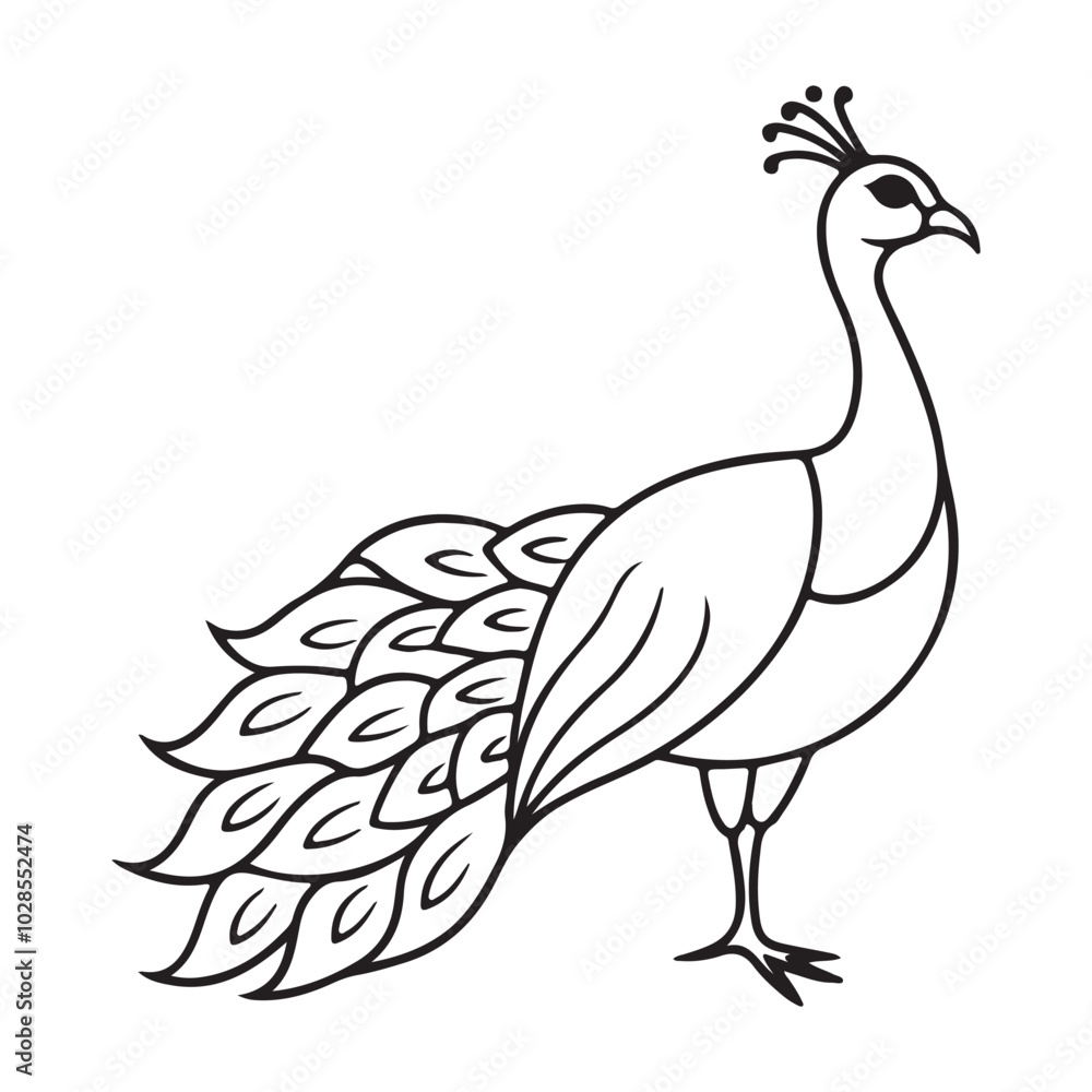vector silhouette image of apeacock on a white background
