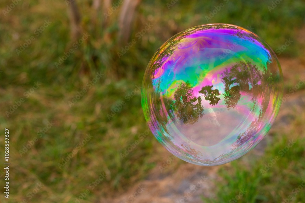 Close-up of a colorful soap bubble reflecting trees and greenery in a natural outdoor setting Close-up of a colorful soap bubble reflecting trees and greenery in a natural outdoor setting