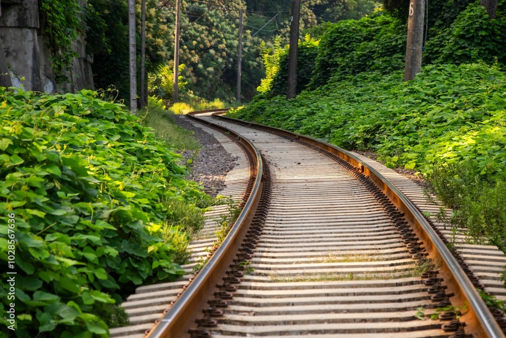 Scenic view of a railway track surrounded by lush green vegetation and trees on a sunny day Scenic view of a railway track surrounded by lush green vegetation and trees on a sunny day