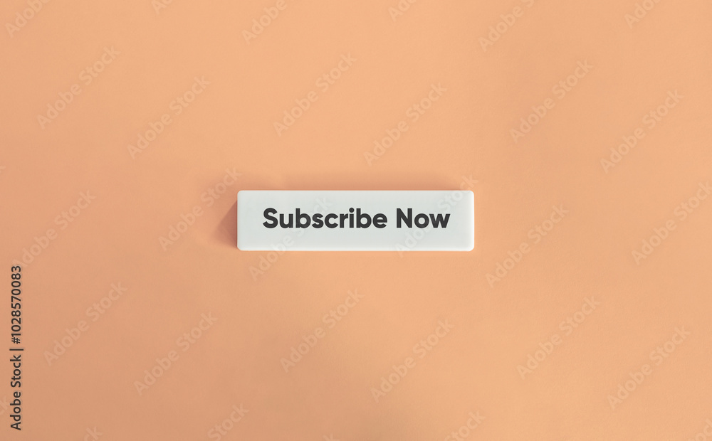 Subscribe Now Call to Action and Banner. Text on Block Letter Tile on Dusty Pink Background. Minimal Aesthetic. Subscribe Now Call to Action and Banner. Text on Block Letter Tile on Dusty Pink Background. Minimal Aesthetic.